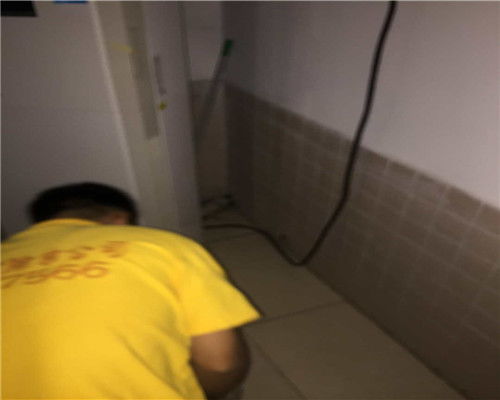 北京海淀区专业灭蟑螂服务 如何灭老鼠