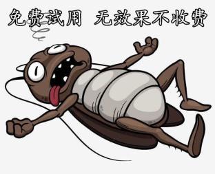 鼎弦灭蟑灭鼠广州防虫服务
