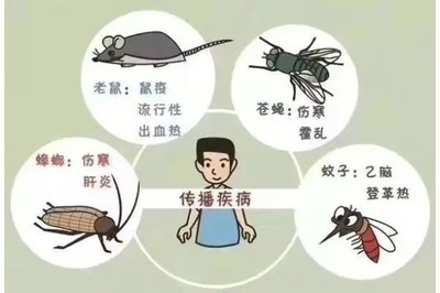 汉中灭老鼠灭蟑螂靠谱诚信质量有保证