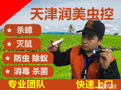 13年消杀经验灭蟑螂灭老鼠蚊蝇消杀灭跳蚤除蚂蚁灭臭虫除螨虫灭白蚁消毒杀菌