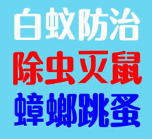 高清图片