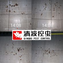 【如何消除工厂老鼠和虫害、看看清波控虫是怎样对工厂灭鼠灭蟑防虫的图片】如何消除工厂老鼠和虫害、看看清波控虫是怎样对工厂灭鼠灭蟑防虫的