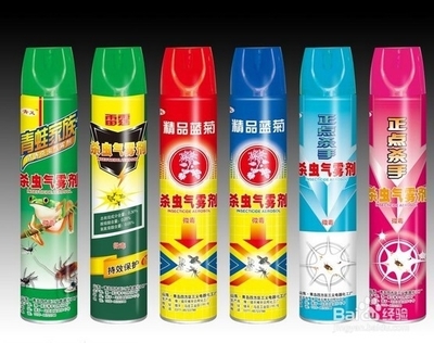怎样驱赶消灭墙洞里的老鼠