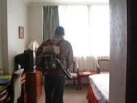 广州南沙区防虫服务
