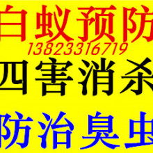  长沙市白蚁防治杀虫灭鼠服务公司 主营 长沙市白蚁防治 长沙