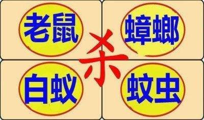 广元除虫灭鼠专业服务开放创新