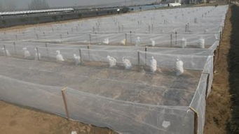 厂家直销隽格 水产养殖防逃网 青蛙泥鳅养殖网 养殖防虫网