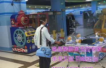 南昌灭蟑螂服务青云谱区杀虫灭鼠白蚁防治中心 南昌其它服务