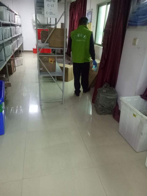 黄江单位杀虫灭鼠爱护环境全心全意