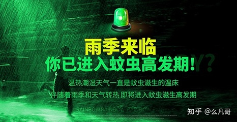 黄埔大沙地灭蚊除蚊