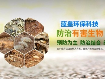上海上门抓老鼠除四害消杀专业除虫防虫灭鼠灭蟑螂