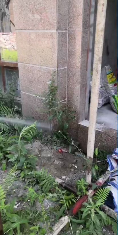 图 攀枝花白蚁研究所 攀枝花保洁清洗 攀枝花列表网