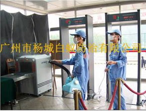 广州白蚁防治广州杀虫公司专业杀虫灭鼠除四害