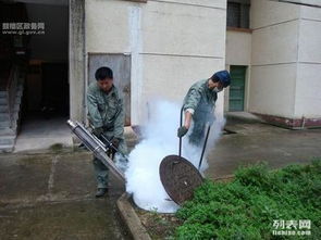 东莞沙田灭治白蚁电话,提供优质的白蚁预防服务,多年防治经验