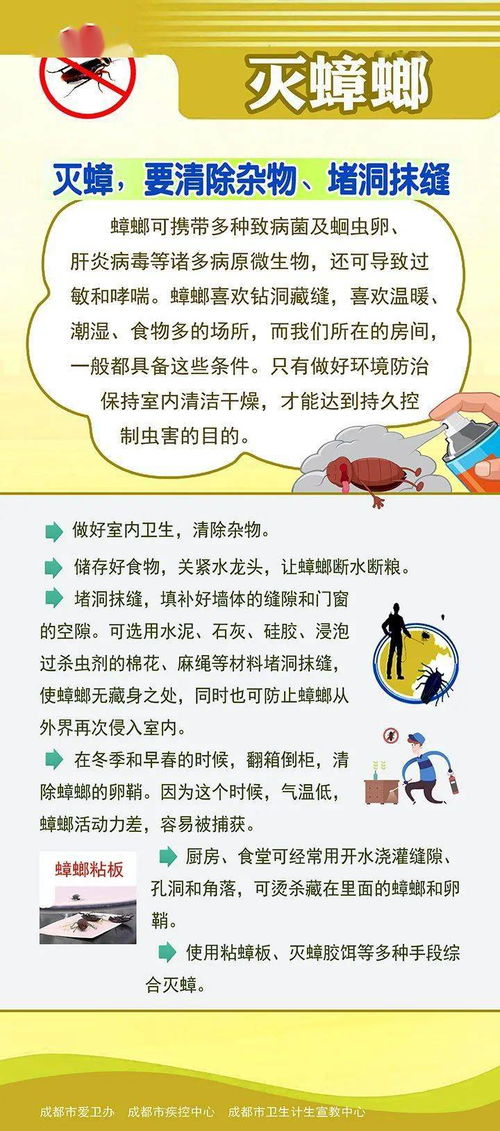 青白江区开展病媒生物防制专项治理活动