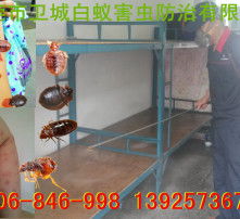 高清图片