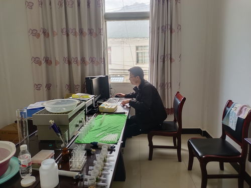 金江镇农业综合服务中心开展农产品抽样检测