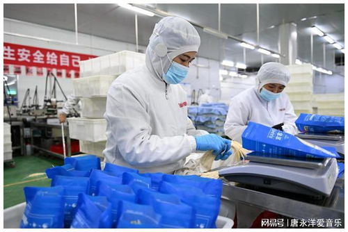 河北隆尧 百亿食品产业激活区域发展动能