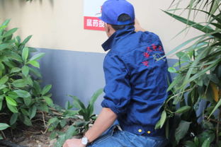 北海代哥虫鼠防治服务,专业除虫灭鼠
