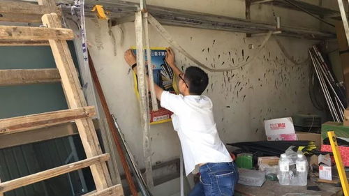 福建漳浦吴总
