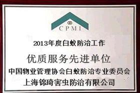 上海灭白蚁 除白蚁公司 杀白蚁服务 专业白蚁治理