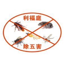 上海灭蚂蚁最有效的方法
