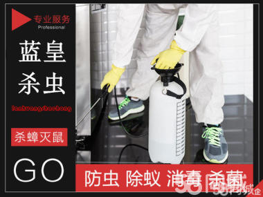 杀虫、老鼠消杀、灭白蚁、灭苍蝇、除虫除蚁、白蚁防治、优质服务