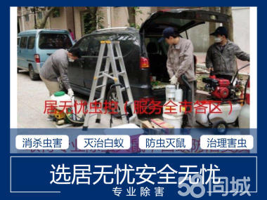 专业灭臭虫、家庭灭臭虫、宿舍灭臭虫、仓库灭臭虫