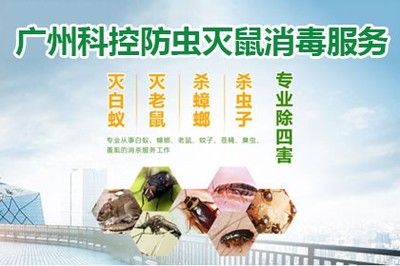 诚信经营的原则,广州白蚁防治中心