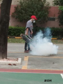 东莞防治白蚁 杀虫灭鼠找龙科白蚁虫控 精湛技术丰厚经验