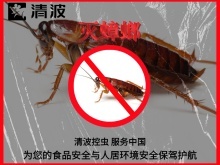 长沙超市 灭白蚁 长沙杀虫灭鼠公司 长沙灭鼠杀虫