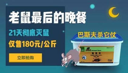 猪场灭鼠屡次失败,但黄油你用过吗?这个小技巧或许能帮你大忙!_科技_网