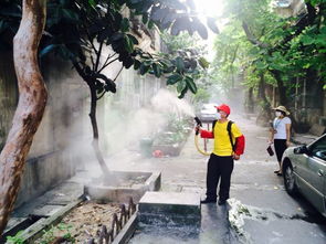 广州灭鼠灭除蚊虫番禺海珠服务公司价格 广州灭鼠灭除蚊虫番禺海珠服务公司型号规格