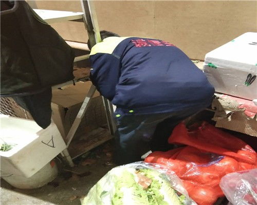北京平谷厨房灭鼠咨询服务 除蟑螂咨询