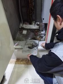 南昌灭鼠灭蟑螂灭白蚁跳蚤杀虫公司专业四害消杀 南昌其它服务