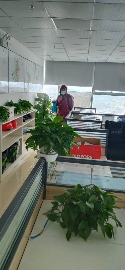 南湖小区白蚁防治公司灭白蚁杀白蚁除白蚁不二之选