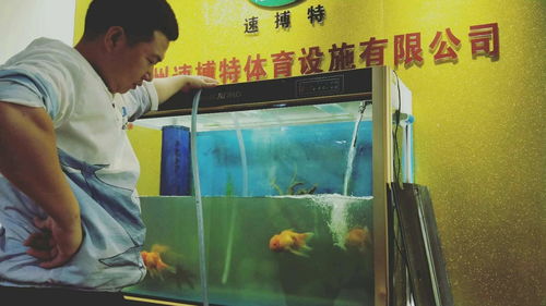 图 全广州上门鱼缸清洗鱼池清洗 鱼缸维修补漏 鱼缸订做 广州宠物服务