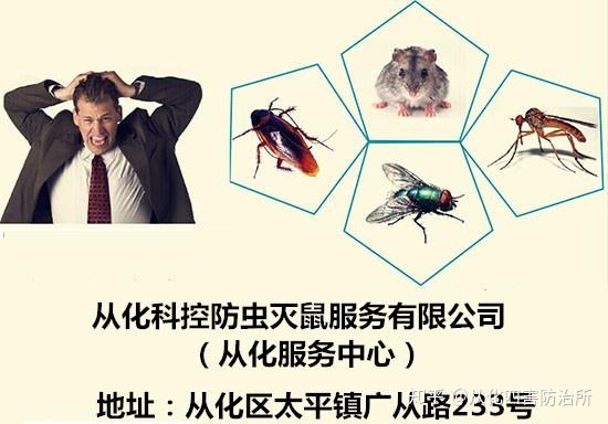 巩卫快讯③:查,整,改!九江开展巩固国家卫生镇专项行动_检查