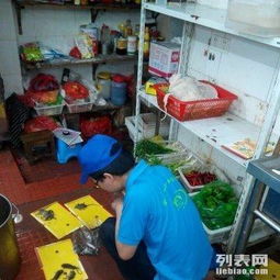 专业灭鼠灭蟑灭跳蚤,您值得托付的虫害控制服务商