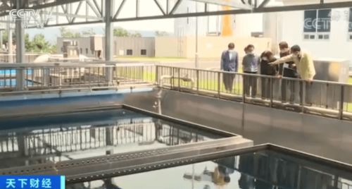 追踪 韩国百万人口大城市现幼虫水污染,7家净水厂 中招 过滤器销量猛增超10倍...