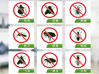 西安正规灭蟑螂公司诚信高,技术人员服务周到