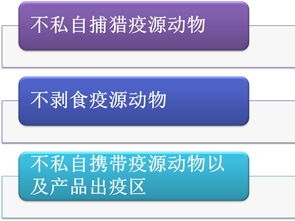 了解权威知识,科学防控鼠疫