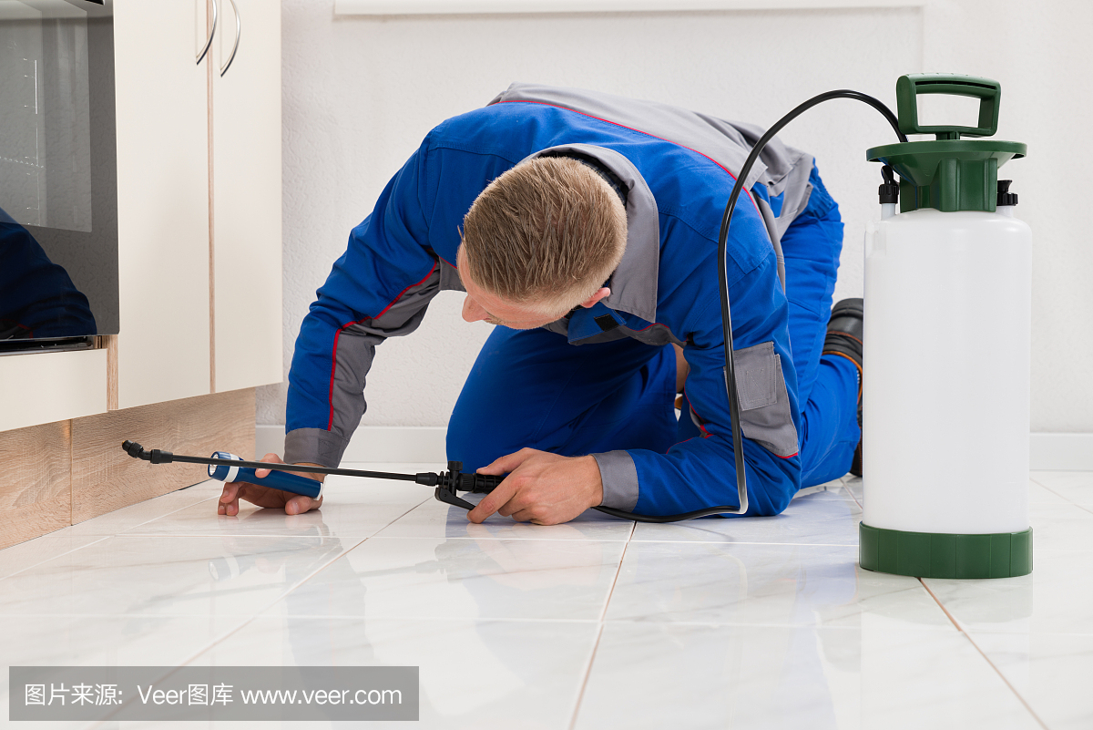 男工人在柜上喷洒农药
