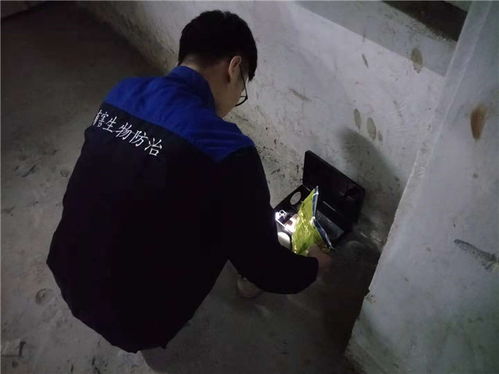 陕西绿色卫士环保 图 食品厂灭鼠公司 雁塔区食品厂灭鼠