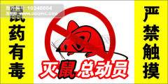 厦门灭蟑螂