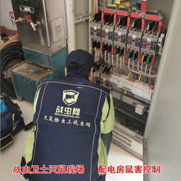 湘潭灭鼠服务 家庭灭鼠服务 奥亚环境 优质商家