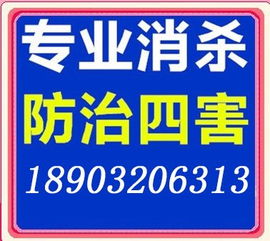 邯郸专业灭虫公司灭鼠灭蟑灭跳蚤24小时上门服务