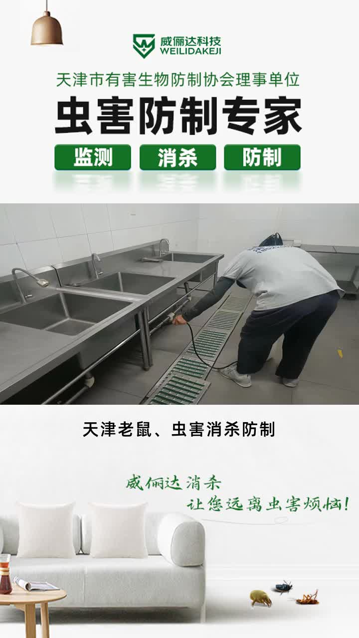 天津灭鼠妙招,就找威俪达,我公司主要服务于厨房灭蟑,食堂灭蟑,虫害