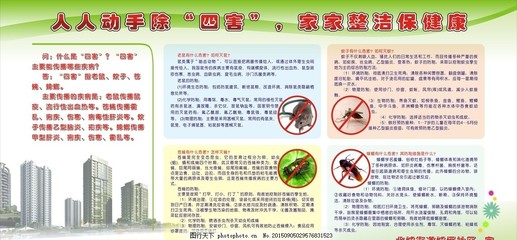 除四害