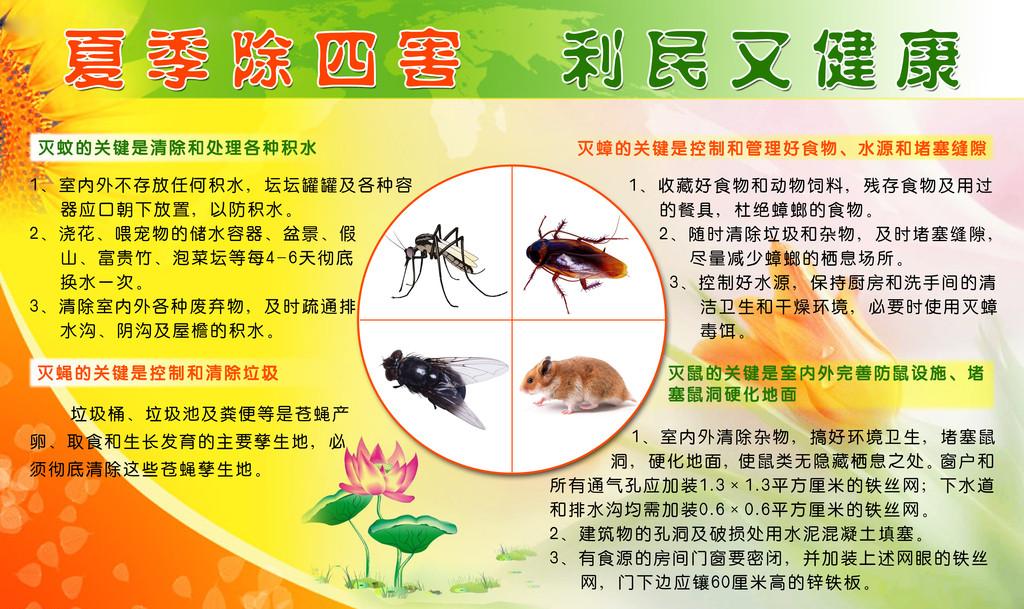 除四害知识图片